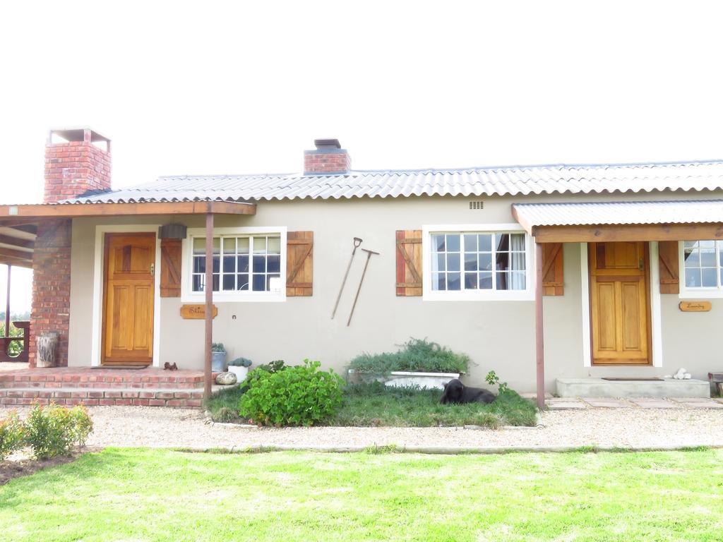 Seven Oaks Vineyard Cottages Wolseley 외부 사진