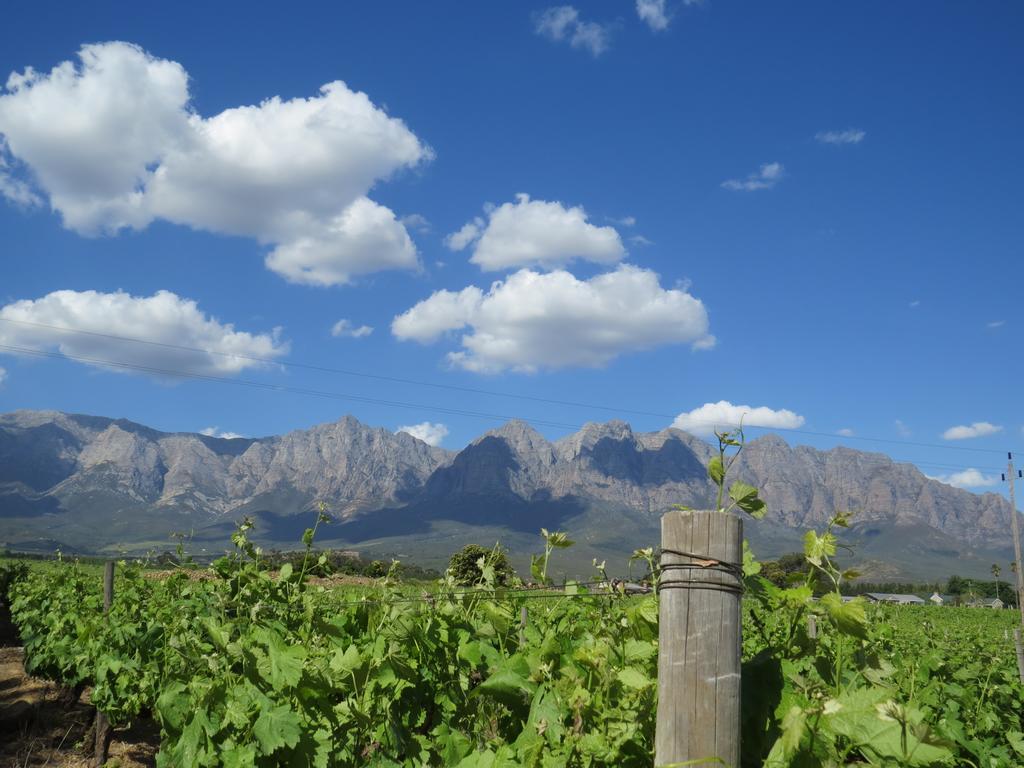 Seven Oaks Vineyard Cottages Wolseley 외부 사진