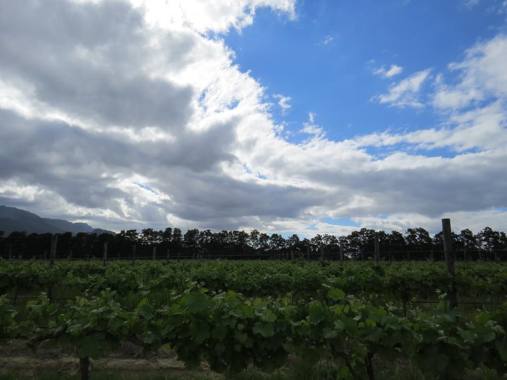 Seven Oaks Vineyard Cottages Wolseley 외부 사진